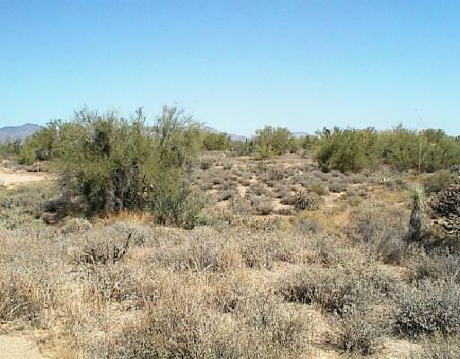 31647 N Hayden Rd. #14, Scottsdale, AZ 85262