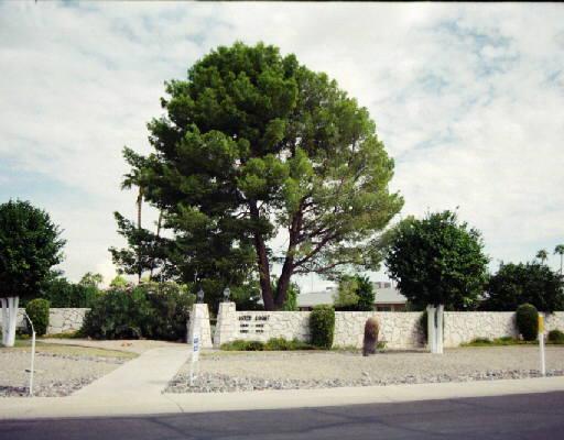 13617 N Newcastle Dr., Sun City, AZ 85351