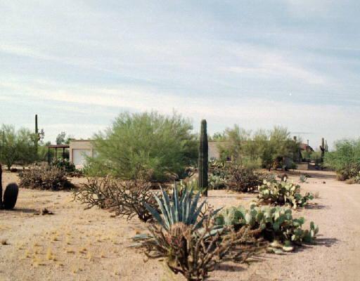 6311 E Wildcat Dr., Cave Creek, AZ 85331