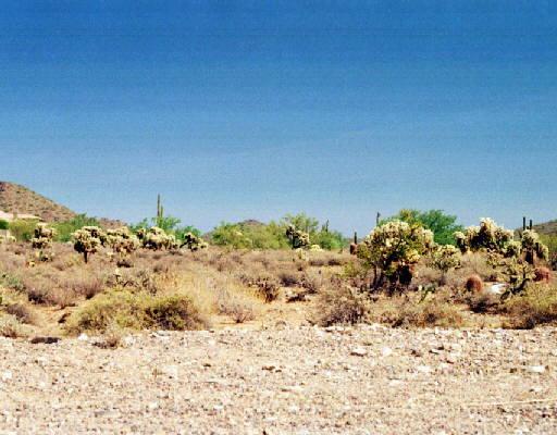 12408 N 129th St., Scottsdale, AZ 85259