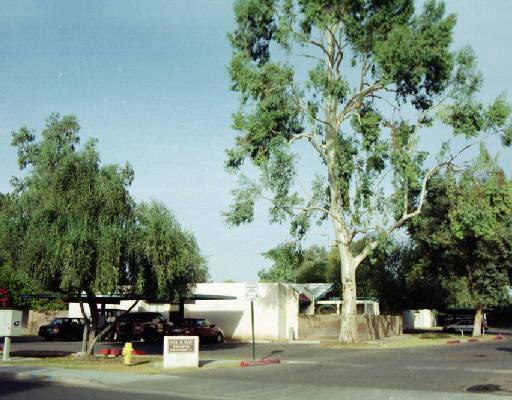 601 N May #10, Mesa, AZ 85201