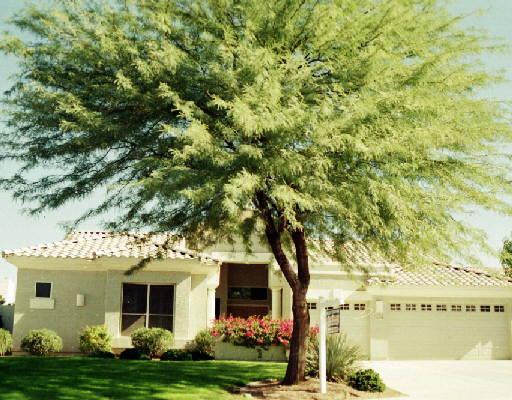 16031 N 17th Way, Phoenix, AZ 85022