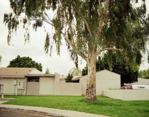 904 S Melody Ln., Tempe, AZ 85281