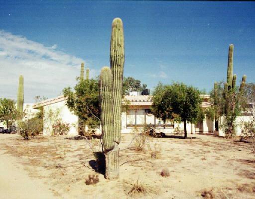 7638 E Mcdowell Rd., Mesa, AZ 85207