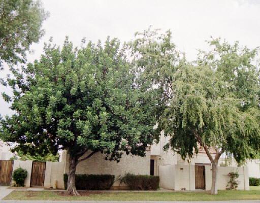 1342 W Emerald Ave. #325, Mesa, AZ 85202