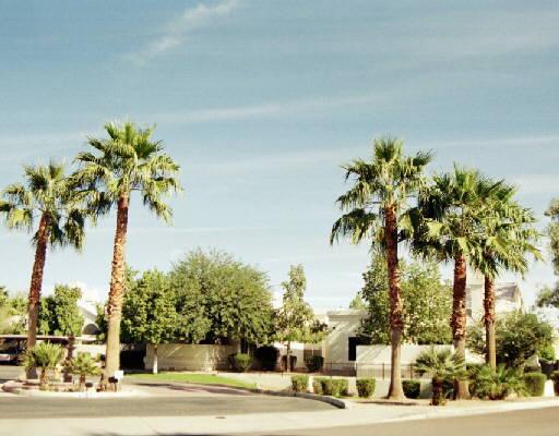 2100 W Lemon Tree Ln., Chandler, AZ 85224