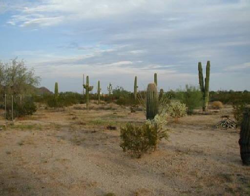 315 S Ruby Rd., Maricopa, AZ 85239