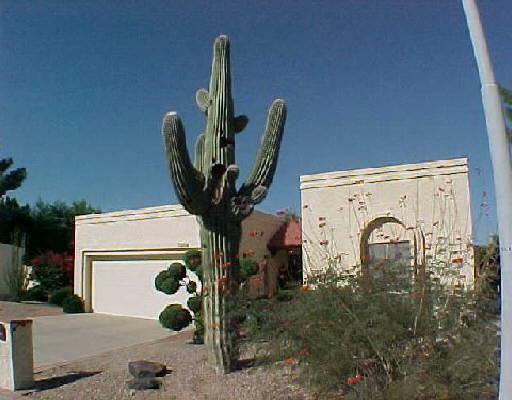 5564 N 77th - Wow Pl., Scottsdale, AZ 85250