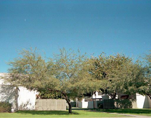 948 S Alma School Rd. #23, Mesa, AZ 85210