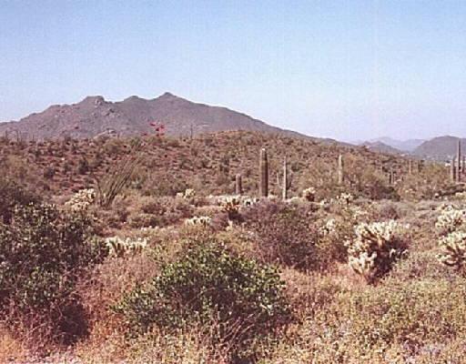 8400 E Tumicacori Rd. #35, Carefree, AZ 85377