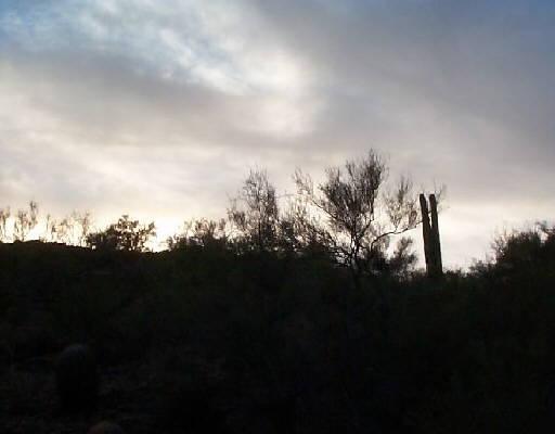 42801 N 10th St., New River, AZ 85087