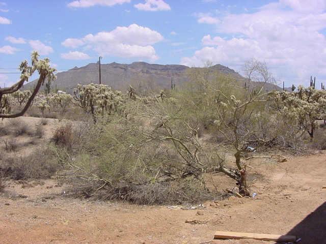 2835 N 90th St., Mesa, AZ 85207