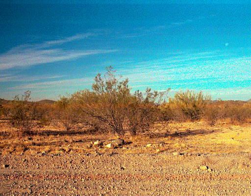 45409 N 22nd St., New River, AZ 85087