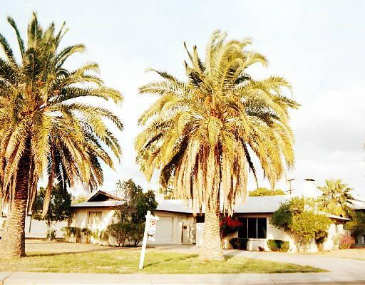 204 E Carter Dr., Tempe, AZ 85282