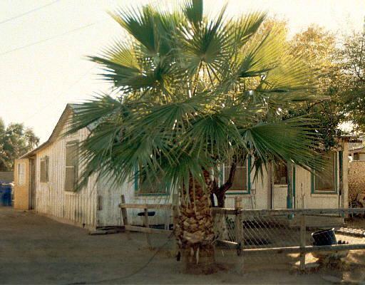 61 E Morelos St., Chandler, AZ 85225