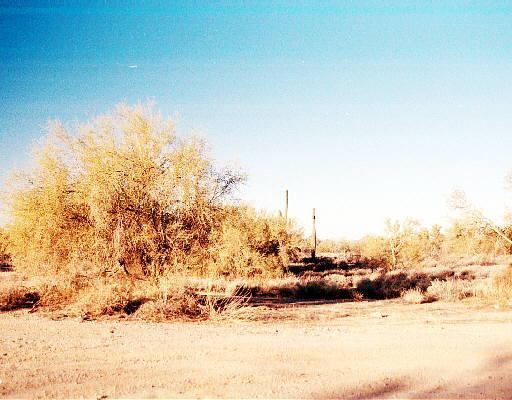 5513 E White Pine Dr., Cave Creek, AZ 85331