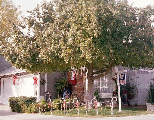 3556 E Le Marche Ave., Phoenix, AZ 85032