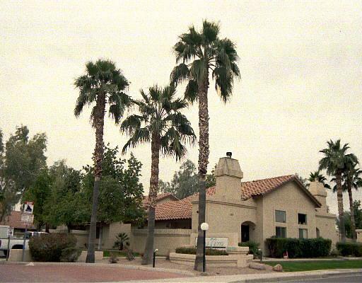 2019 W Lemon Tree Ln. #1127, Chandler, AZ 85224