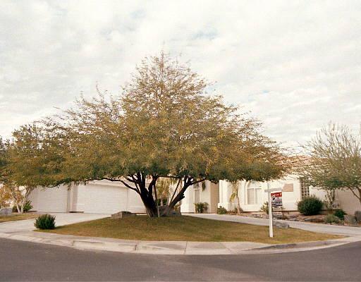 15019 S 6th Pl., Phoenix, AZ 85048