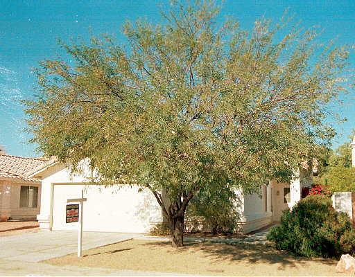 4322 E Desert Trumpet Rd., Phoenix, AZ 85044