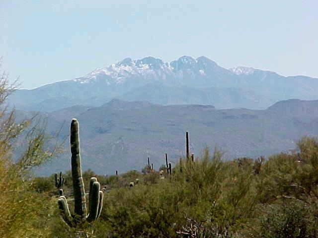 35600 N 140th St. #MB, Scottsdale, AZ 85262