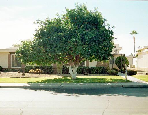 17422 N Boswell Blvd., Sun City, AZ 85373