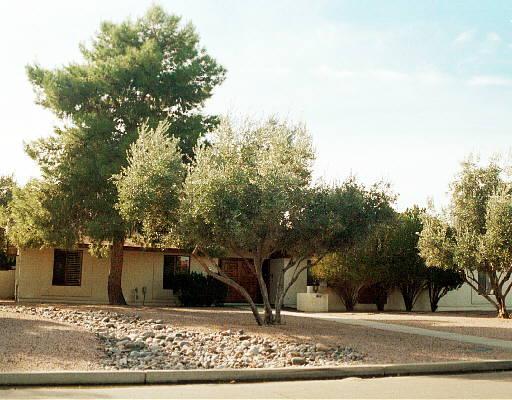 5401 E Sahuaro Dr., Scottsdale, AZ 85254