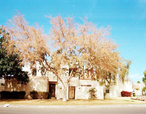 1342 W Emerald Ave. #410, Mesa, AZ 85202