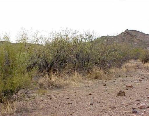 43 N 16th St., New River, AZ 85087