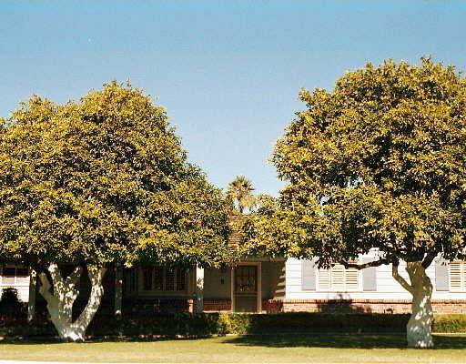 6812 E Bonita Dr., Paradise Valley, AZ 85253