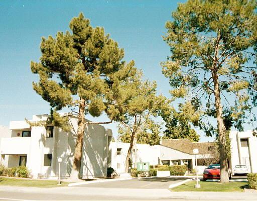 1920 W Lindner Ave. #209, Mesa, AZ 85202