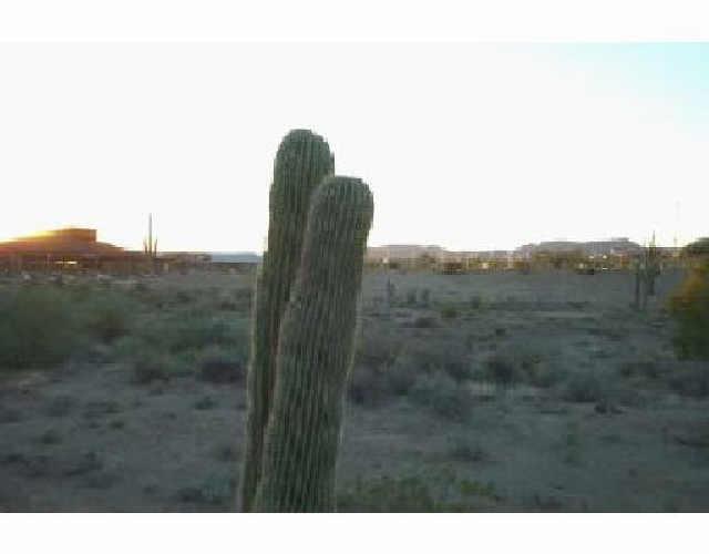 41132 N Eagle Ter., Anthem, AZ 85086