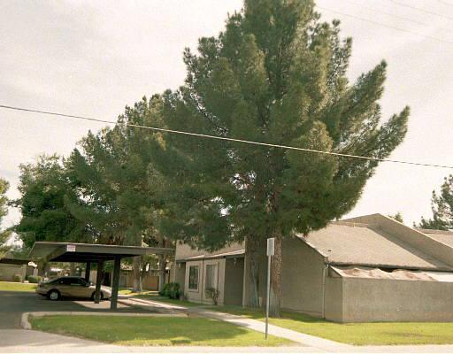 429 E Royal Palms Dr., Mesa, AZ 85203