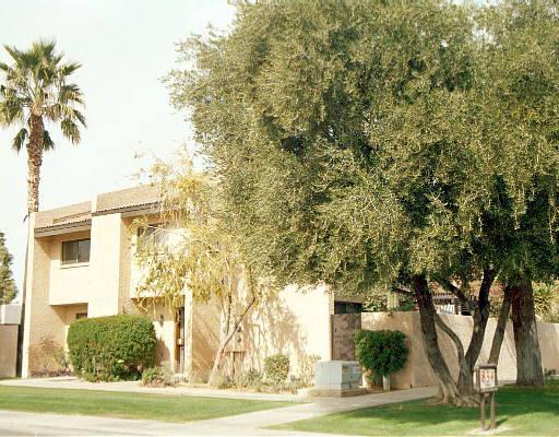 834 E Fountain St. #6, Mesa, AZ 85203