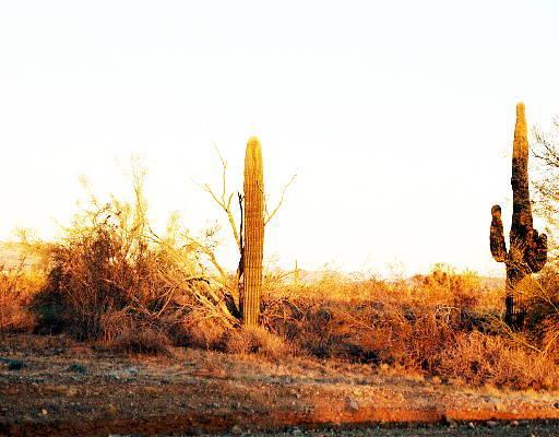 43827 N 14th St., New River, AZ 85087