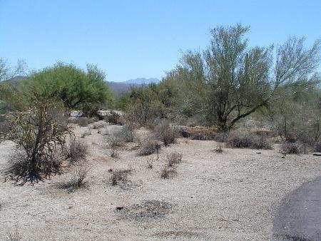 25005 Puma Cir. #1221, Rio Verde, AZ 85263