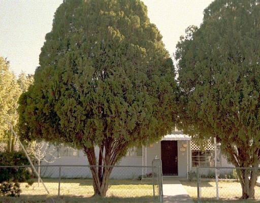 429 S Temple St., Mesa, AZ 85204