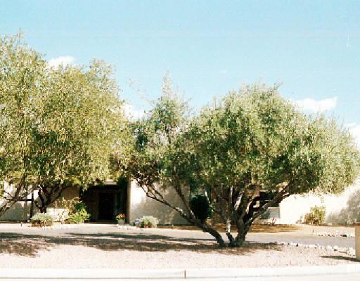11601 N 50th St., Scottsdale, AZ 85254