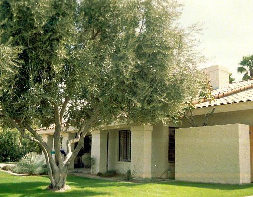 8101 E Via Campo, Scottsdale, AZ 85258