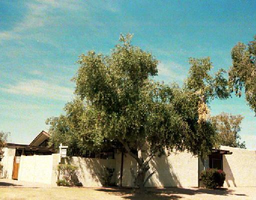 712 N Santa Barbara St. #32, Mesa, AZ 85201