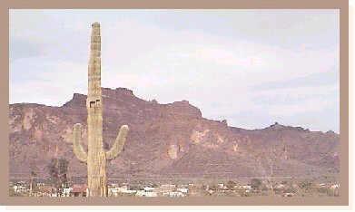 760 N Boyd St., Apache Junction, AZ 85219