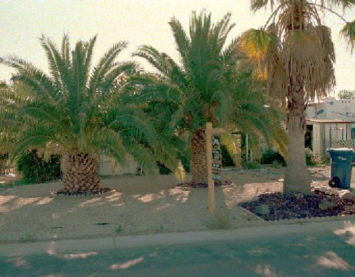 1361 S Palo Verde St., Mesa, AZ 85209