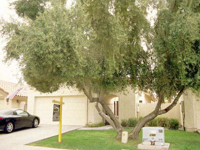 2339 W Mission Dr., Chandler, AZ 85224