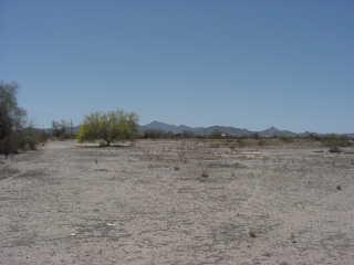 49673 W Pampas Grass Rd., Maricopa, AZ 85239