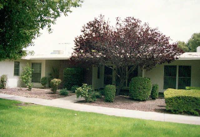 10230 W Palmeras Dr., Sun City, AZ 85373