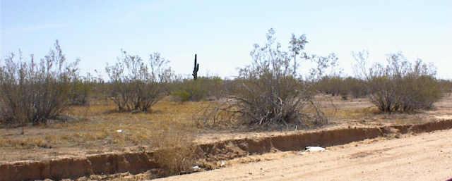 N Dogwood Rd. #20, Florence, AZ 85232