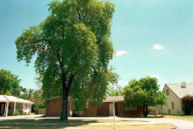 541 Grand St., Mesa, AZ 85201