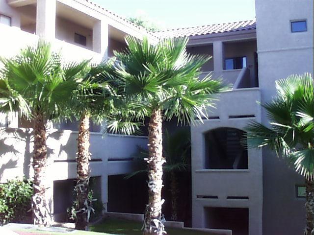 10401 N Saguaro Blvd. #225, Fountain Hills, AZ 85268