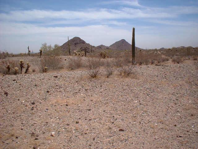 W Desert Vista Ter., Surprise, AZ 85374