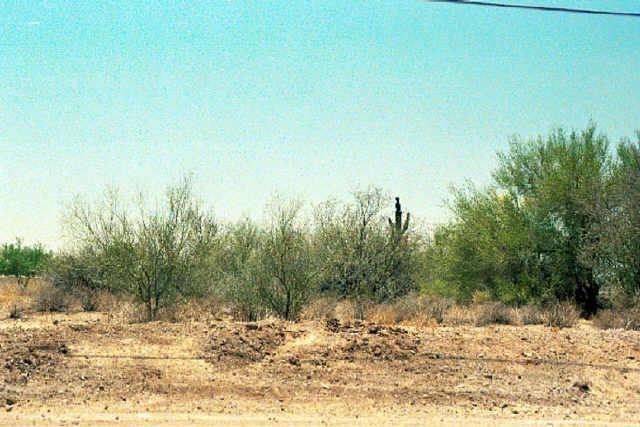 43716 N 16th St., Phoenix, AZ 85086